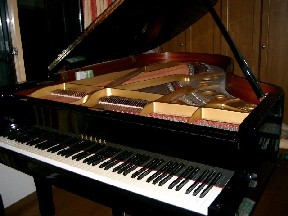 ��å����ѥ����ɥԥ���